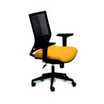 BSC-2200 - BASIC Müdür Koltuğu
