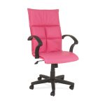 EKM-1200 - EKOMİN PLASTİK Müdür Koltuğu
